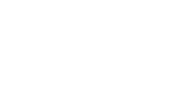 ElephantSolutions